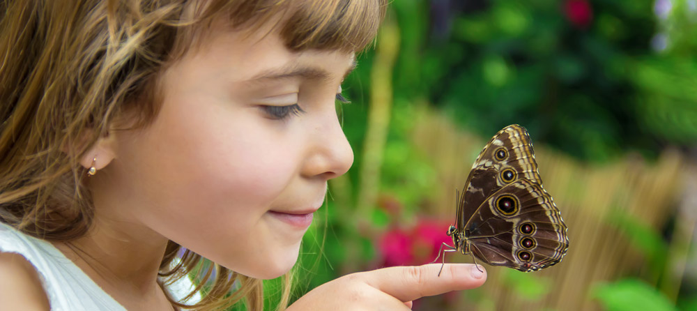 Kind entdeckt im Schmetterlingspark einen Schmetterling auf dem Finger