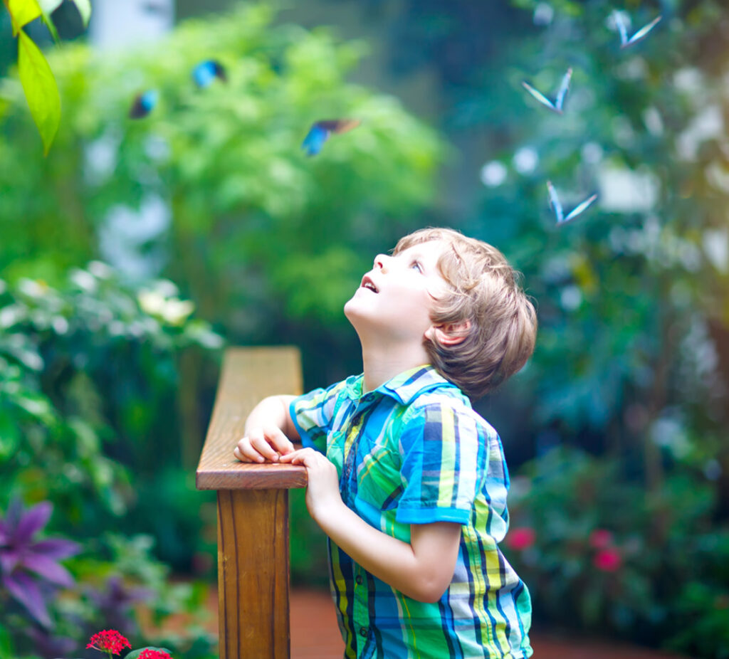 Schmetterlingspark - Kind im Tropenhaus